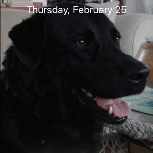 Meet your Posher, Heidi